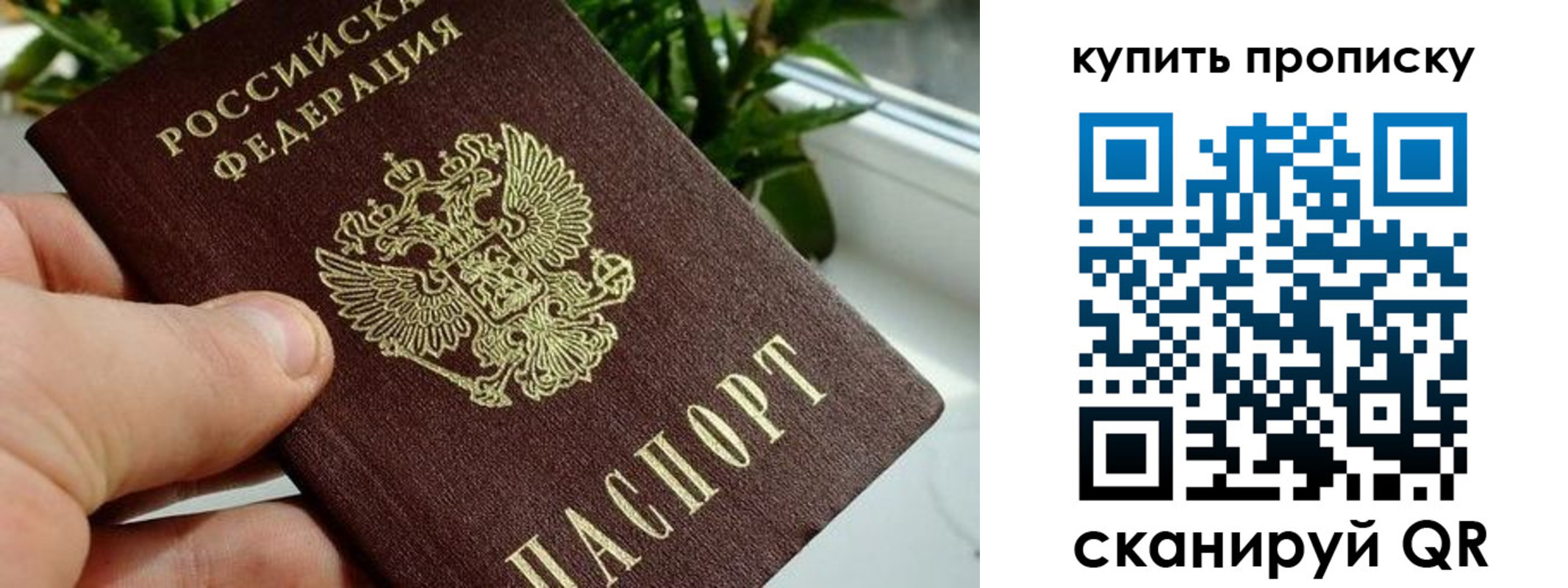 временная регистрация в квартире в Смоленске